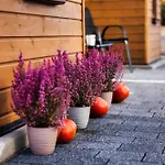 Radkowskie Julia Z Widokiem Na Zalew I Gory Appartement *