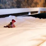 Radkowskie Julia Z Widokiem Na Zalew I Gory * Radkow