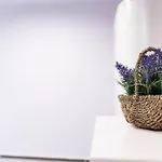 Radkowskie Julia Z Widokiem Na Zalew I Gory Appartement