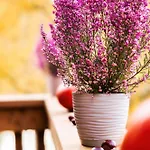 Radkowskie Julia Z Widokiem Na Zalew I Gory Appartement *