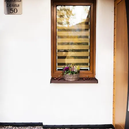 Radkowskie Julia Z Widokiem Na Zalew I Gory * רדקוב