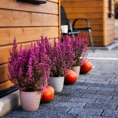 Radkowskie Julia Z Widokiem Na Zalew I Gory דירה *