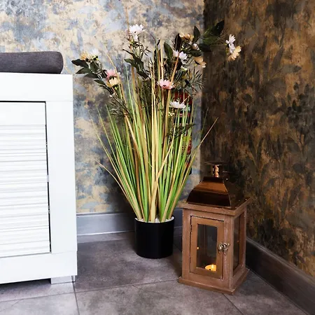 Radkowskie Julia Z Widokiem Na Zalew I Gory רדקוב