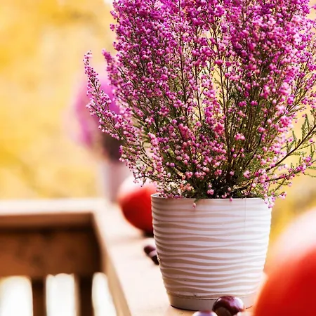 Radkowskie Julia Z Widokiem Na Zalew I Gory דירה *