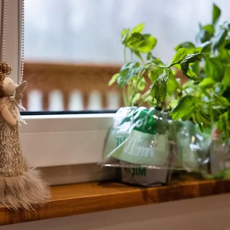 Radkowskie Julia Z Widokiem Na Zalew I Gory