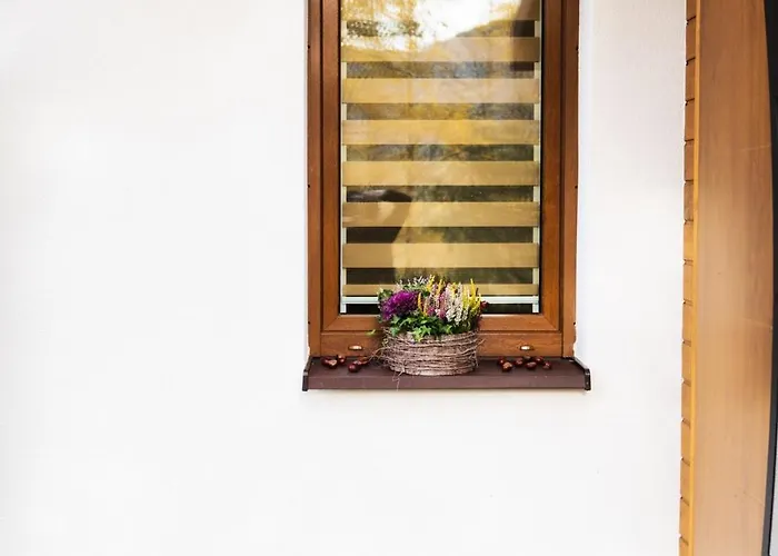 Radkowskie Julia Z Widokiem Na Zalew I Gory * Radkow