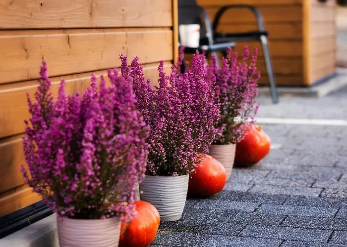 Radkowskie Julia Z Widokiem Na Zalew I Gory Apartment *