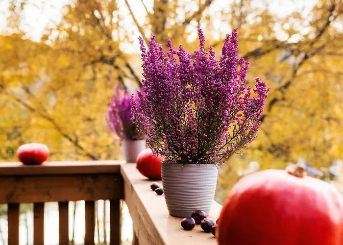 Apartamento Radkowskie Julia Z Widokiem Na Zalew I Gory *