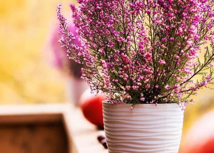 Radkowskie Julia Z Widokiem Na Zalew I Gory Apartment *