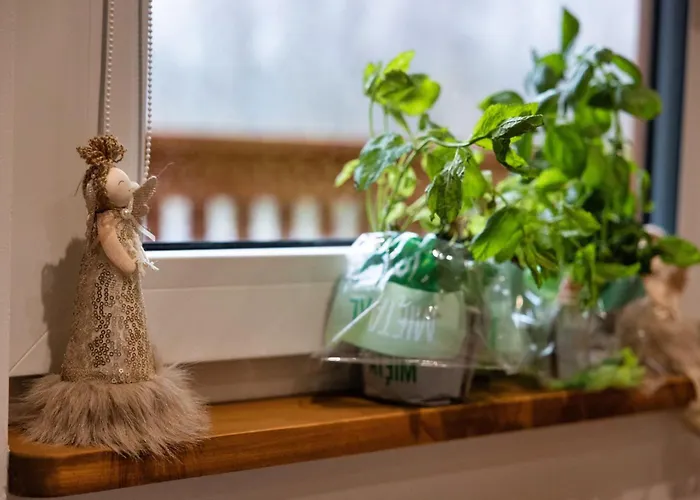 Radkowskie Julia Z Widokiem Na Zalew I Gory